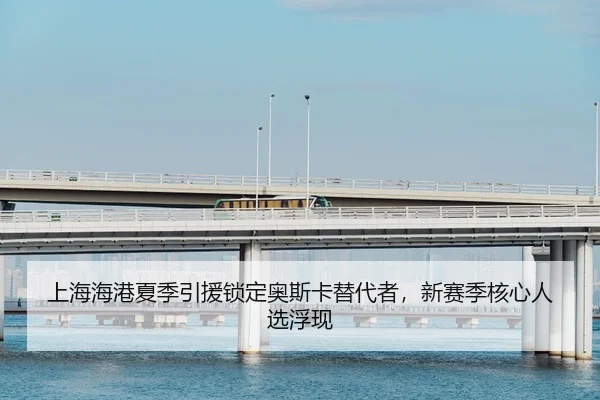 上海海港夏季引援锁定奥斯卡替代者，新赛季核心人选浮现