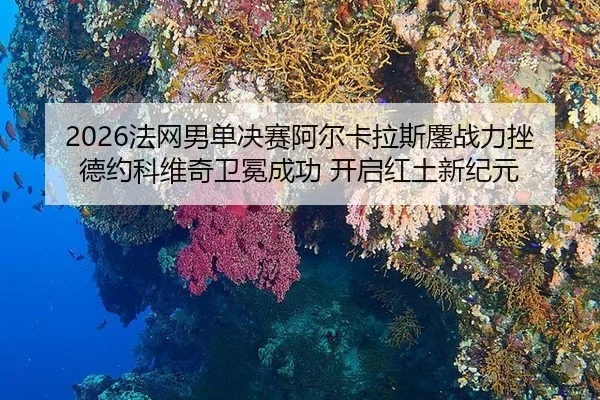 fa-wang-nan-dan-jue-sai-a-er-ka-la-si-ao-zhan-li-cuo-de-yue-ke-wei-qi-wei-mian-cheng-gong-kai-qi-hong-tu-xin-ji-yuan-1-482.jpg