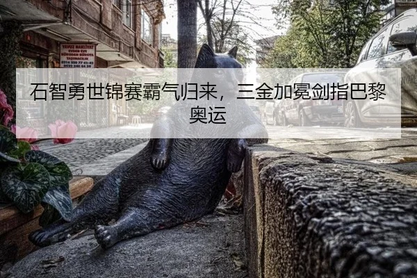 石智勇世锦赛霸气归来，三金加冕剑指巴黎奥运